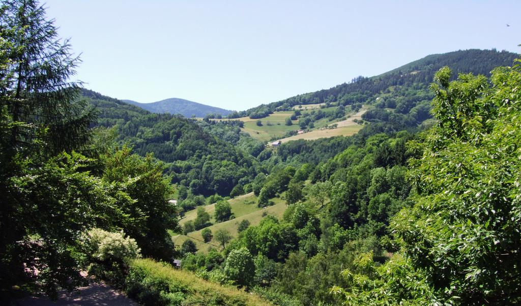 La Haute Grange Gites De Charme En Alsace Fréland Exterior photo